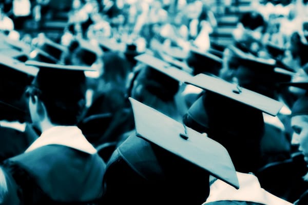 planned-consultation-on-international-student-post-study-work-rights