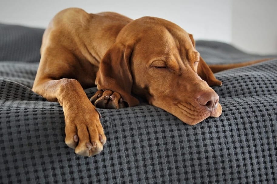 sleep-when-you-ache