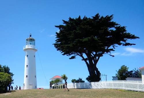 tiritiri-matangi-island
