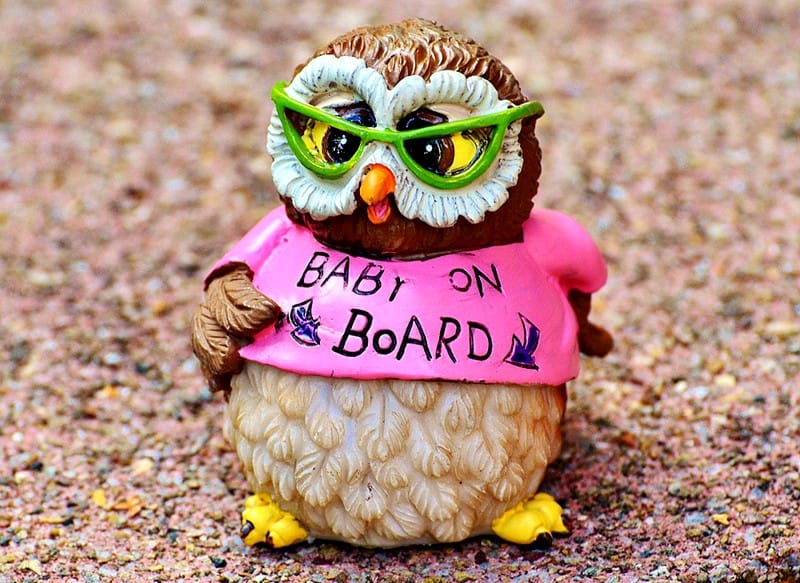 visitor-visa-holder-maternity-care-application