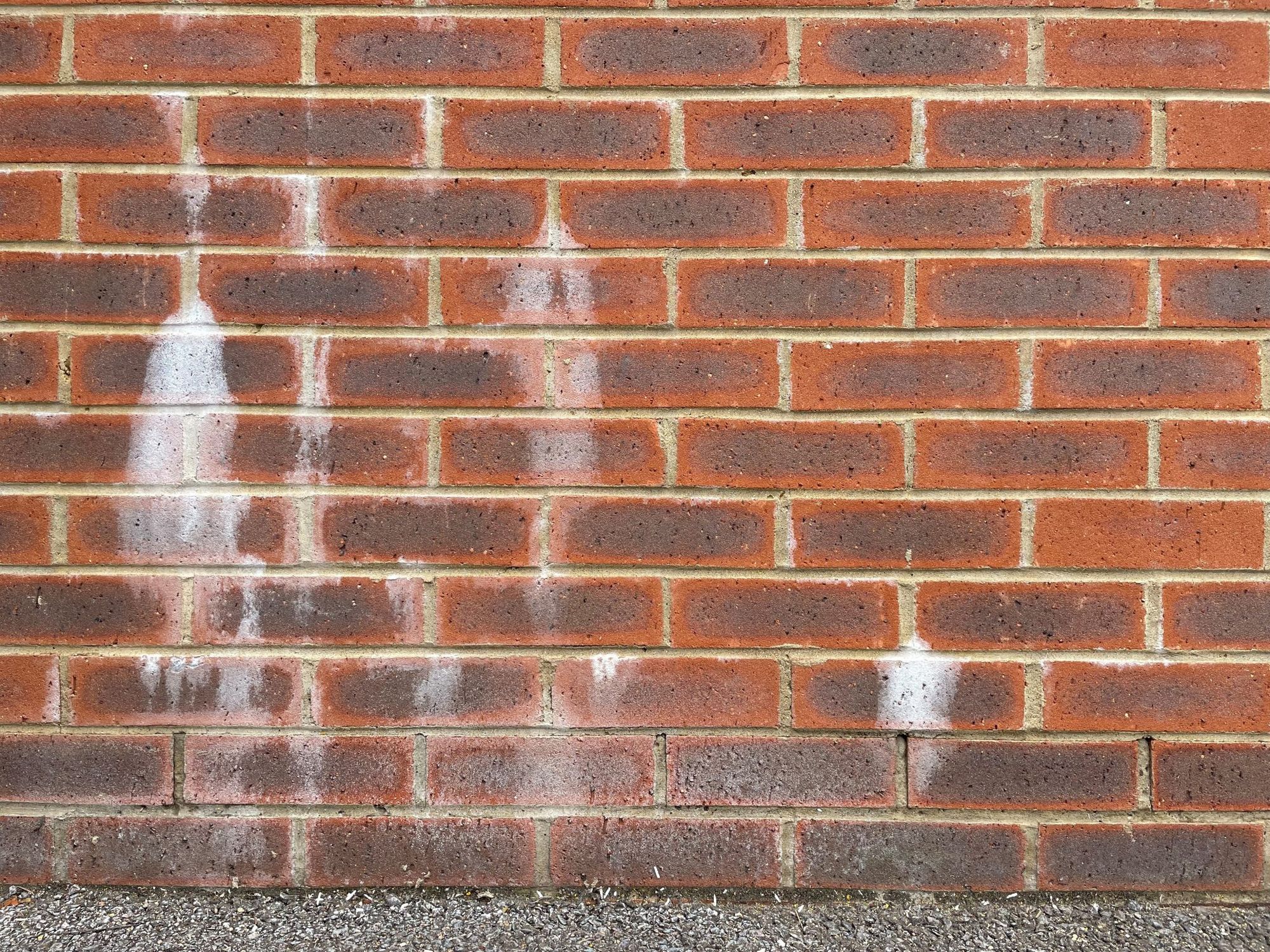 Efflorescence coming from a brick and mortar wall