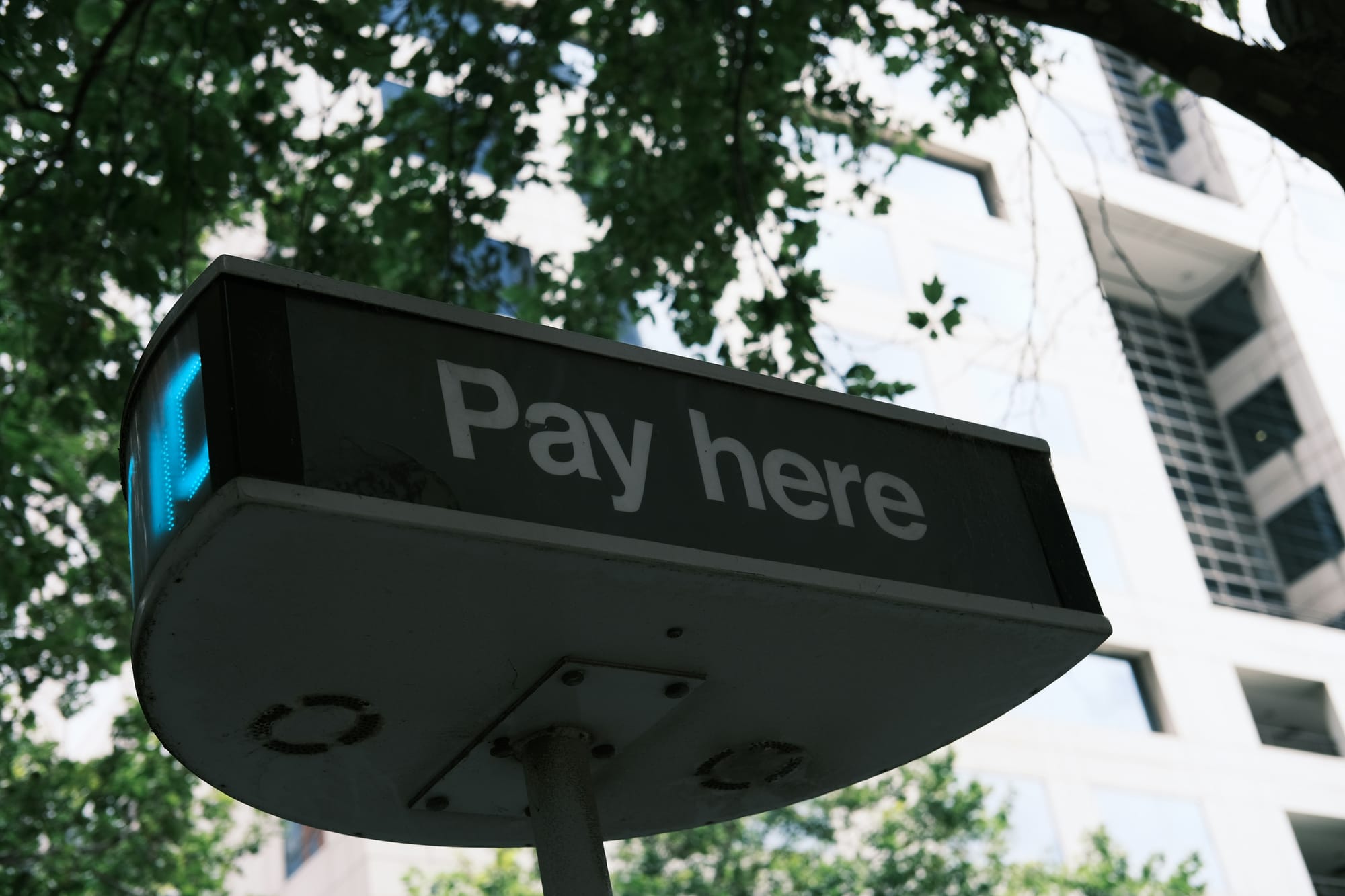 Pay Here sign next to a tree