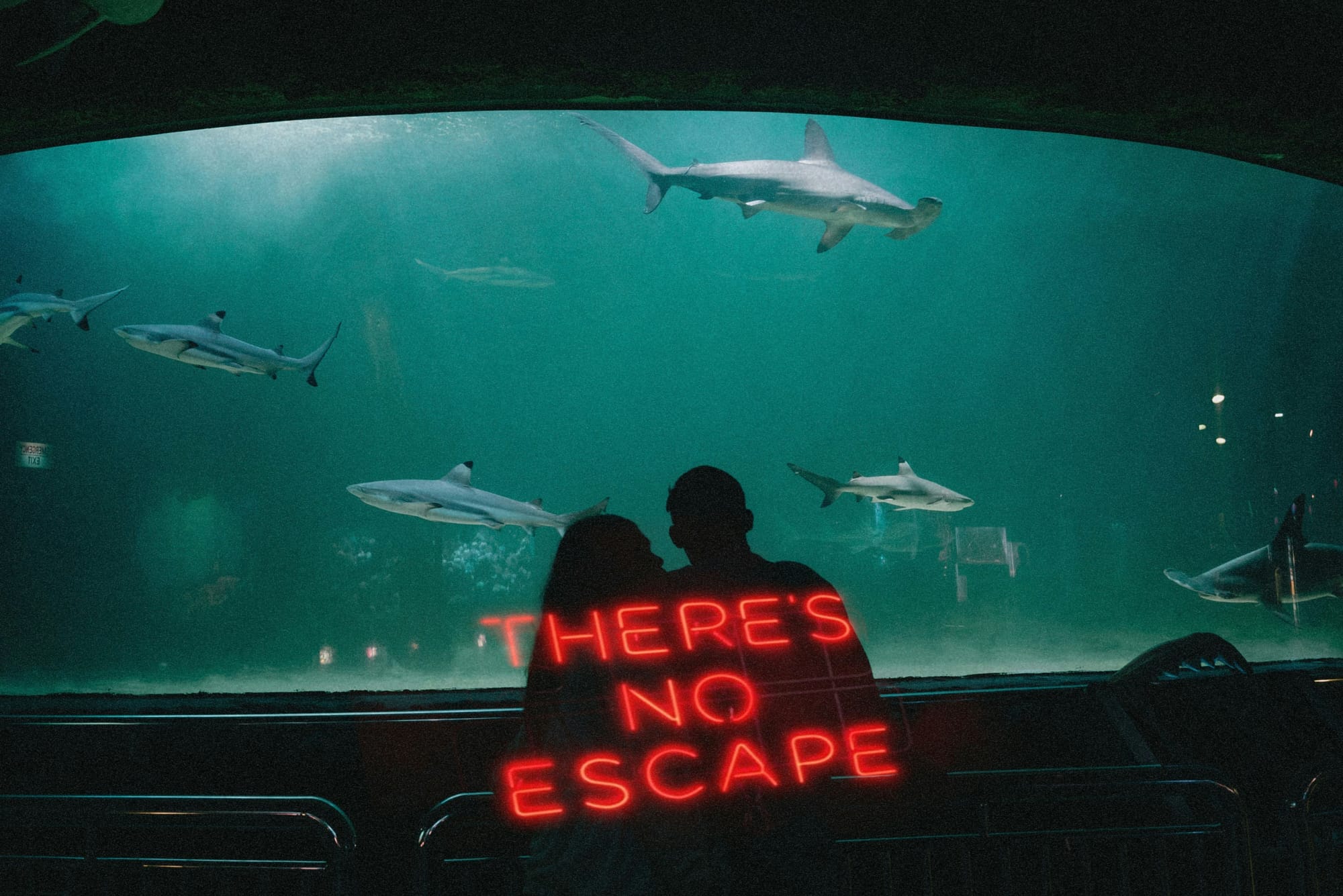 There's no escape sign with sharks in the back ground