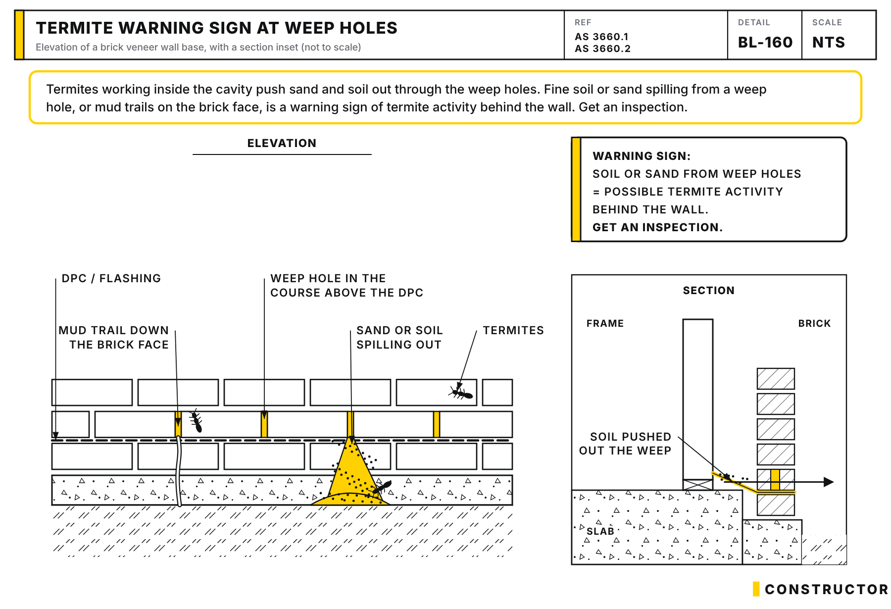 Brick veneer wall base with sand and soil spilling from a weep hole, a mud trail down the brick face and termites, plus a section inset showing soil pushed out of the cavity through the weep hole above the flashing; a callout warns this is a sign of possible termite activity.