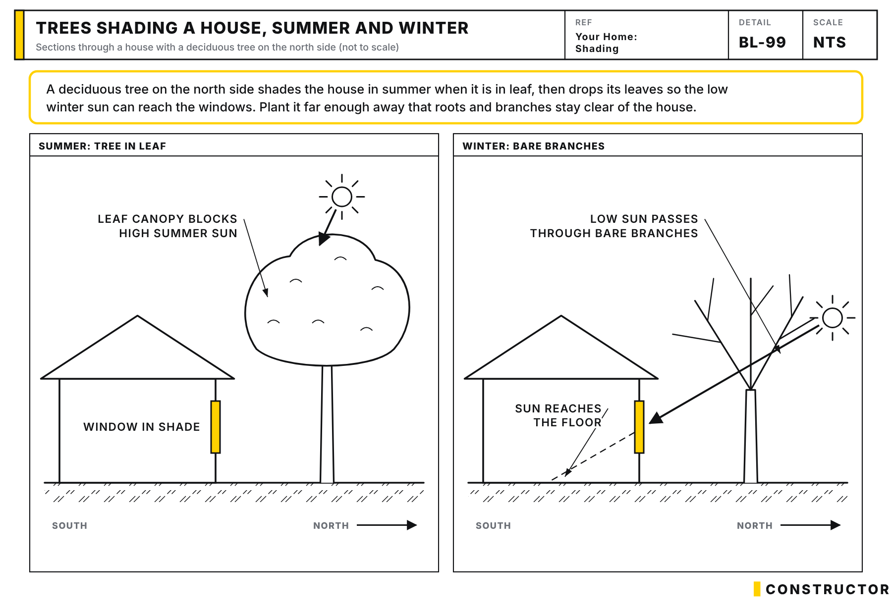 Two sections of a house with a deciduous tree to the north: in summer the leaf canopy blocks the high sun from the window, and in winter the low sun passes through bare branches into the room.