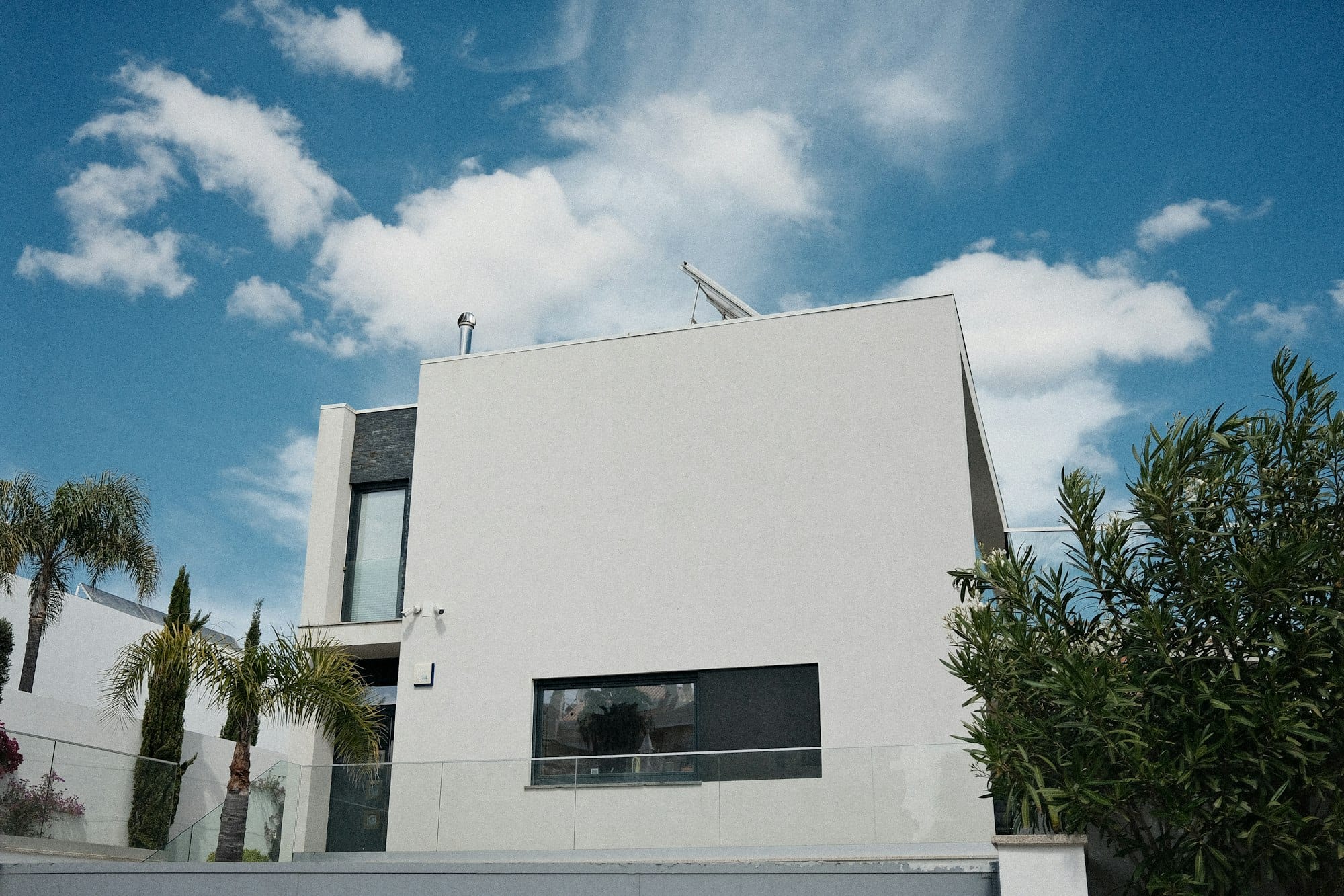 Modern white house with large windows and palm trees