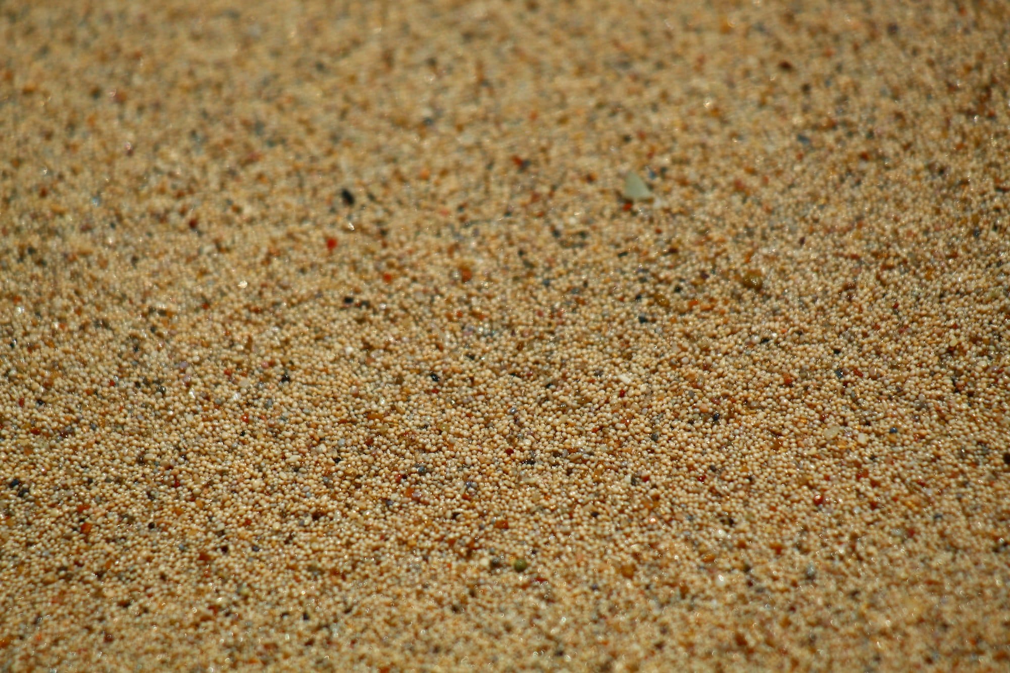 Natural texture of fine brown sand