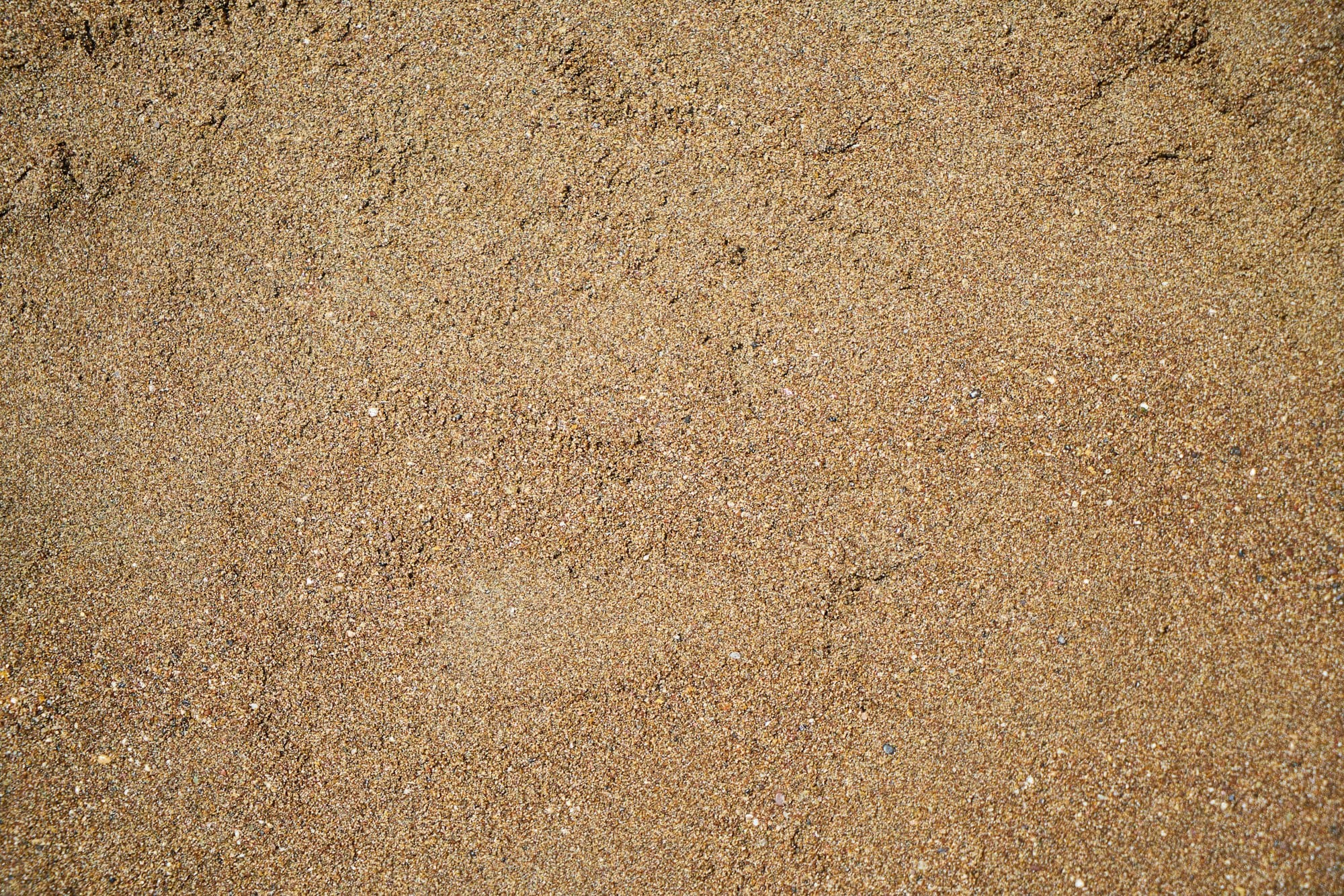person in black shoes standing on brown sand