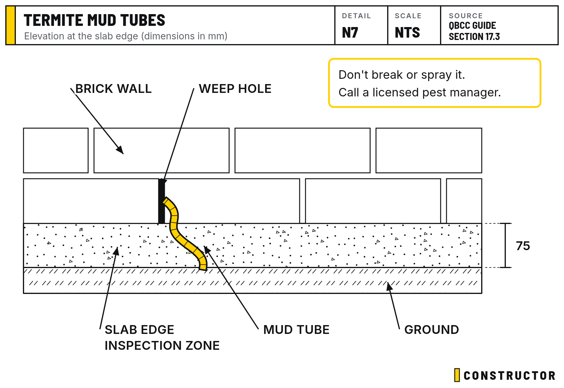 Termite mud tubes: Elevation at the slab edge (dimensions in mm)