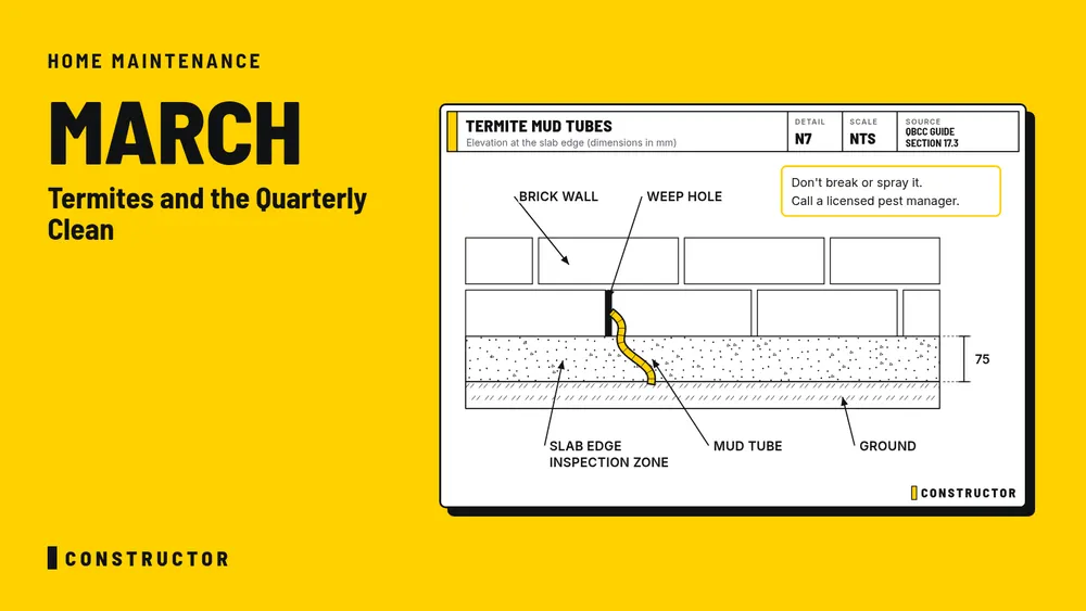March home maintenance: Termites and the Quarterly Clean