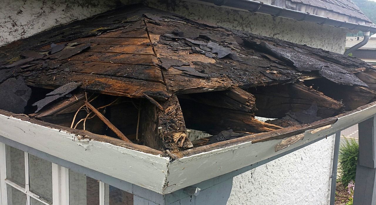 Defective timber roof structure
