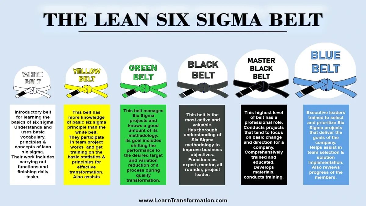 Lean Six Sigma Belt Diagram
