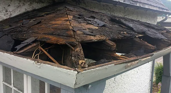 Defective timber roof structure