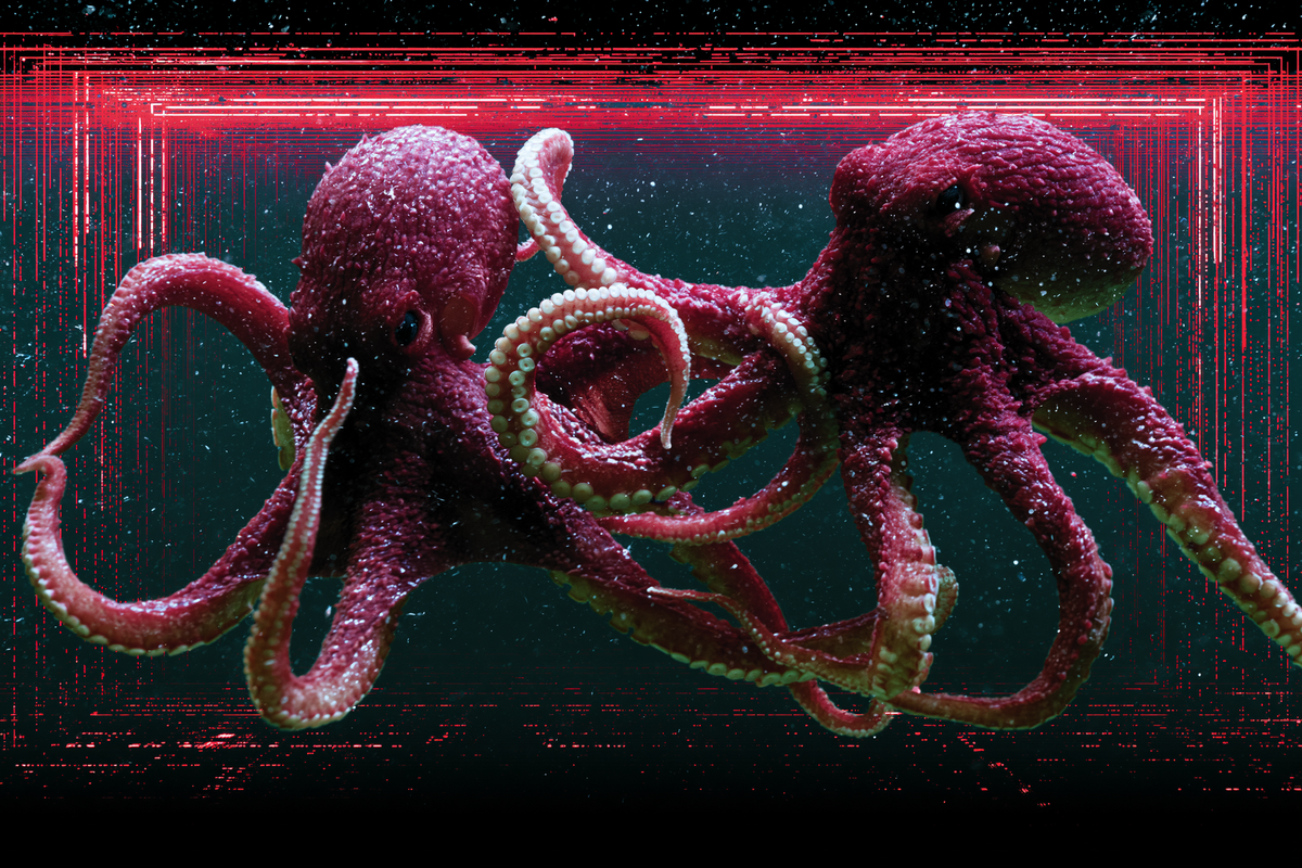 Krakens fighting underwater