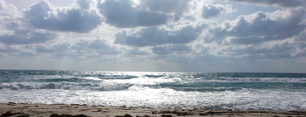 Sunlit ocean
