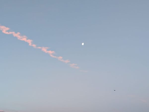 Moon in the morning. Light blue sky with streak of sun-pinked cloud next to 3/4 full moon.