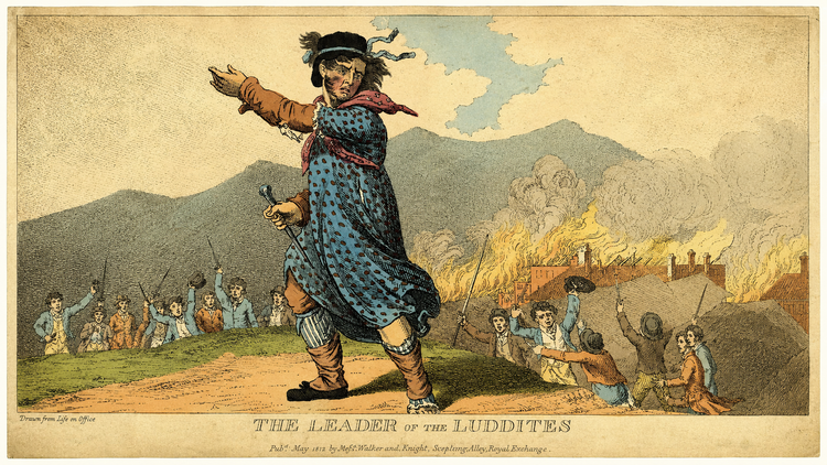 Lessons from the Luddites