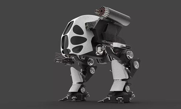 Why We Should Ban Lethal Autonomous Weapons