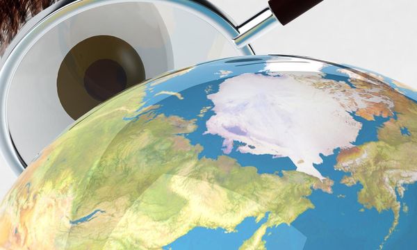 Why Data Visualizations Provides You a Competitive Edge