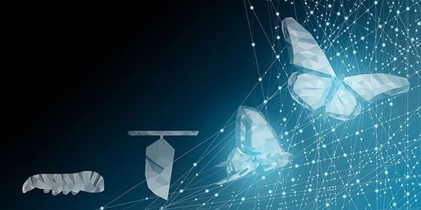 4 steps to digital transformation