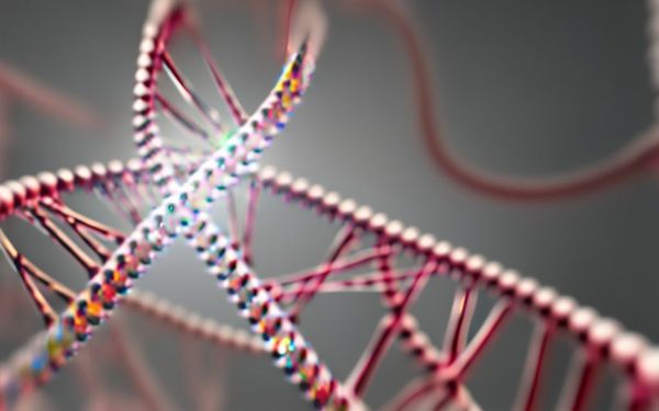 What is Synthetic Biology - The Next Big Leap for Nature