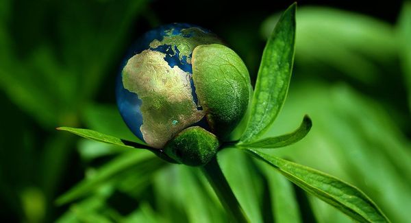 How To Build a Responsible Tech Startup?