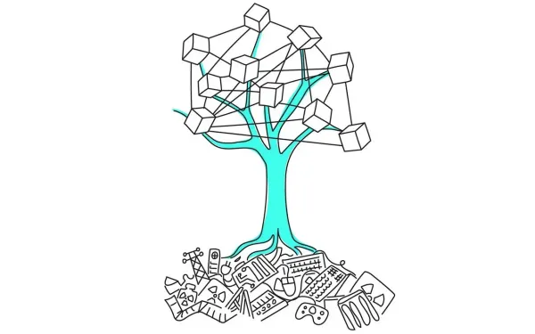 The Environmental Impact