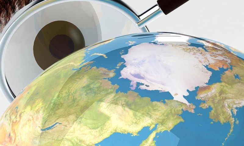 Why Data Visualizations Provides You a Competitive Edge