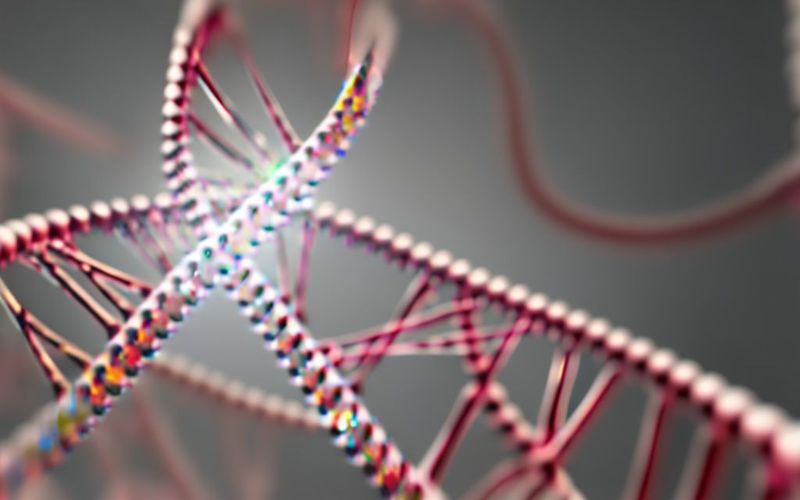 What is Synthetic Biology - The Next Big Leap for Nature