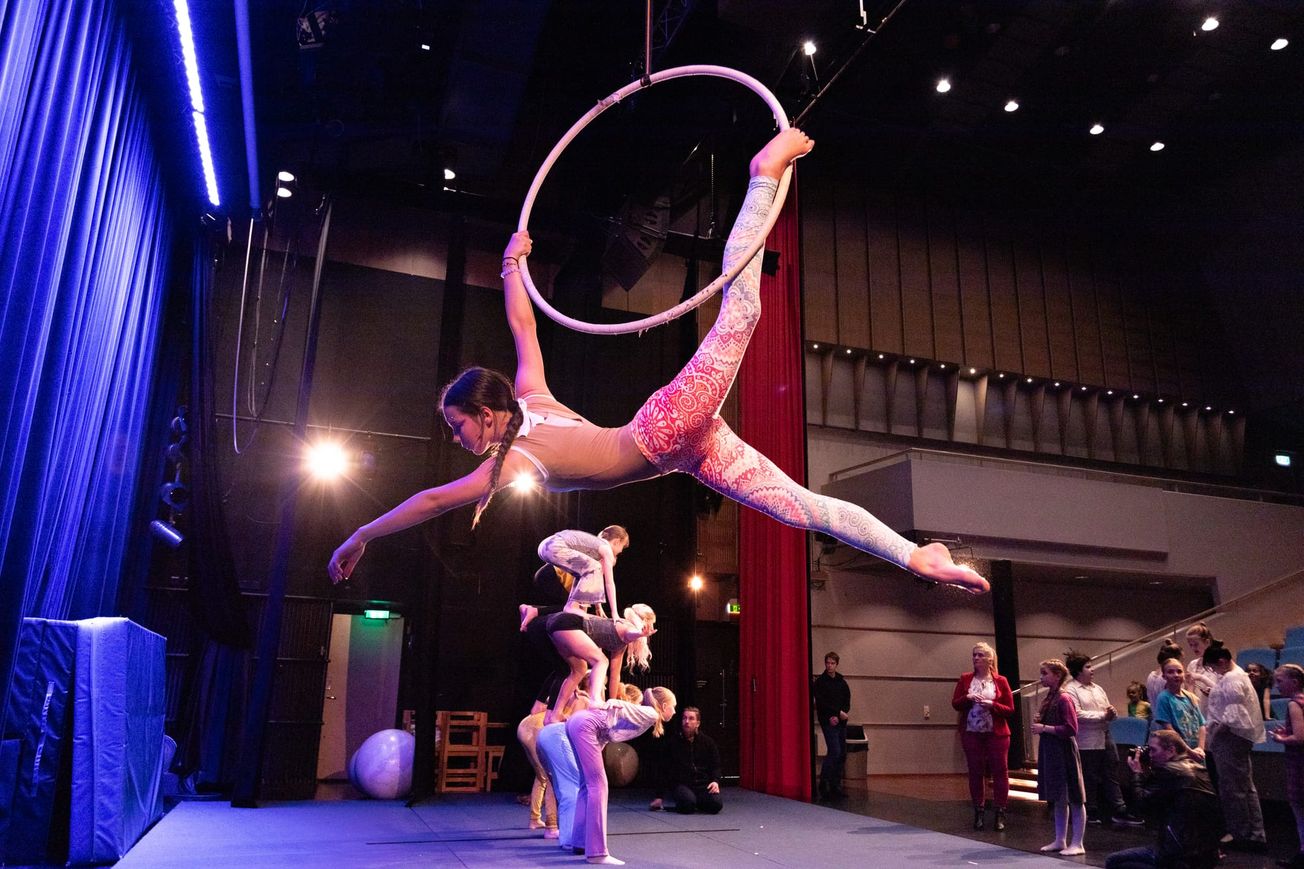 Monitaiteisuus ja yhteisöllisyys ohjaavat Pukinmäen  taidekoulujen kehitystä