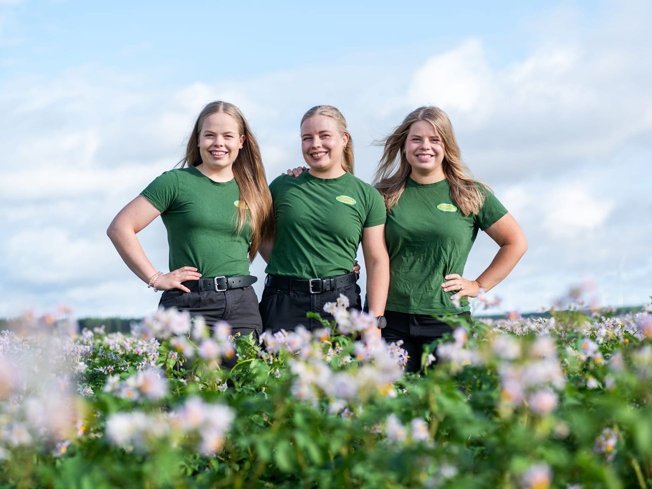 Penttilän  Perunasiskot – sisukkaasti  pellolta pöytään