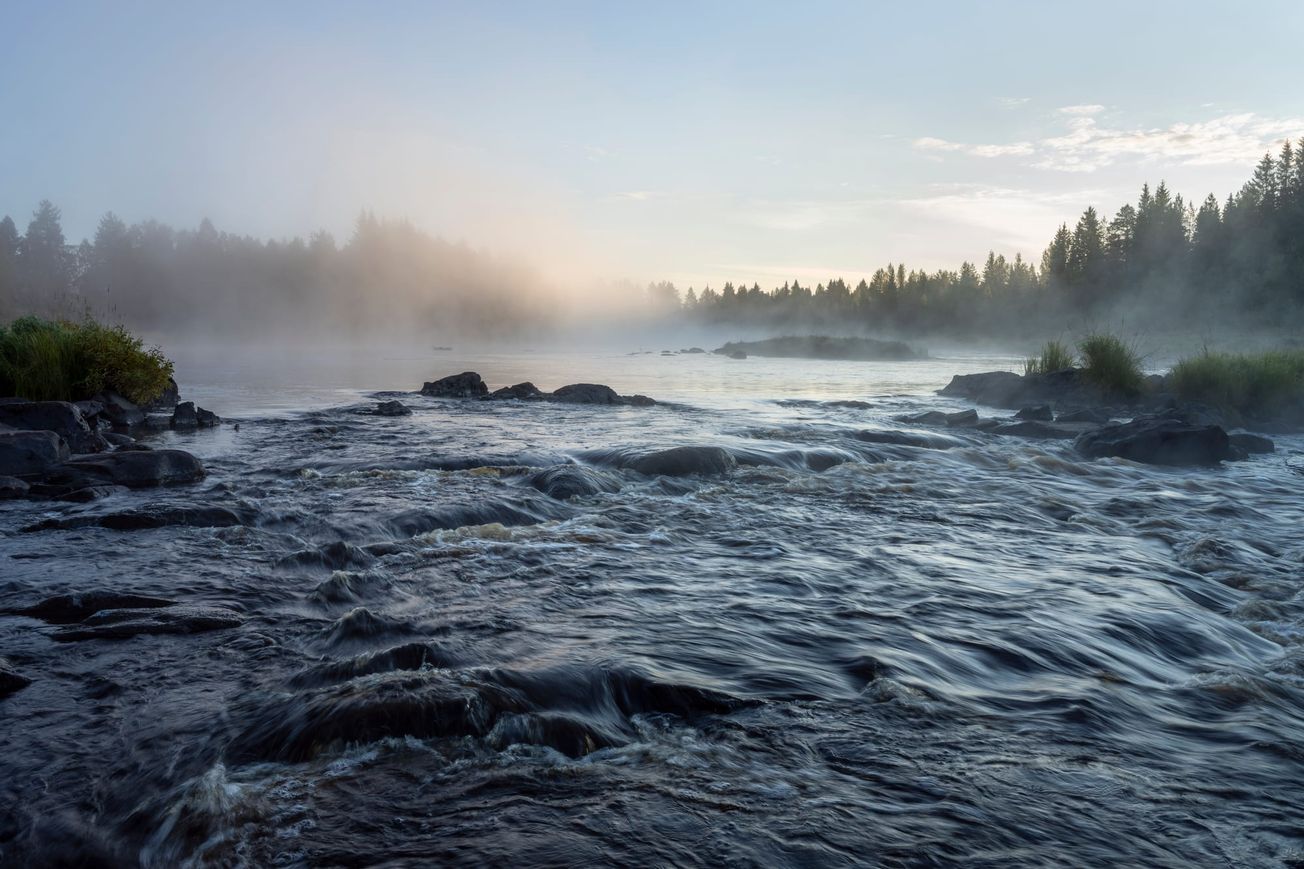 Vesitalous ratkaisee metsiemme ja vesistöjemme tulevaisuuden