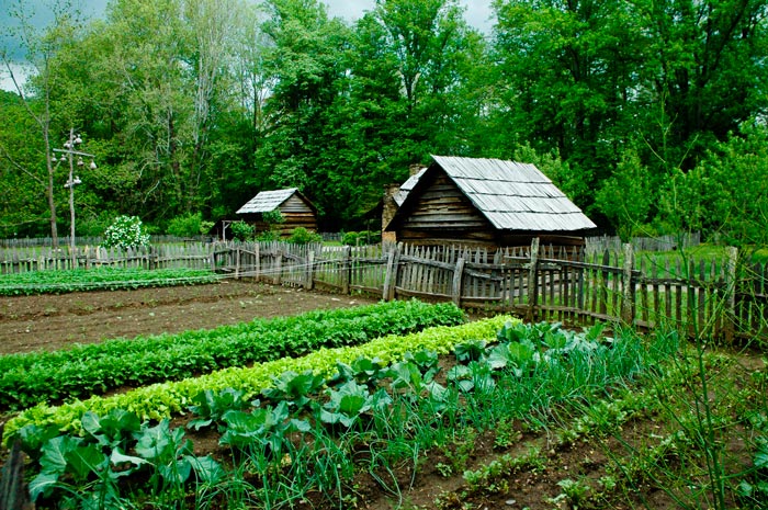 Off Grid Farm & Garden