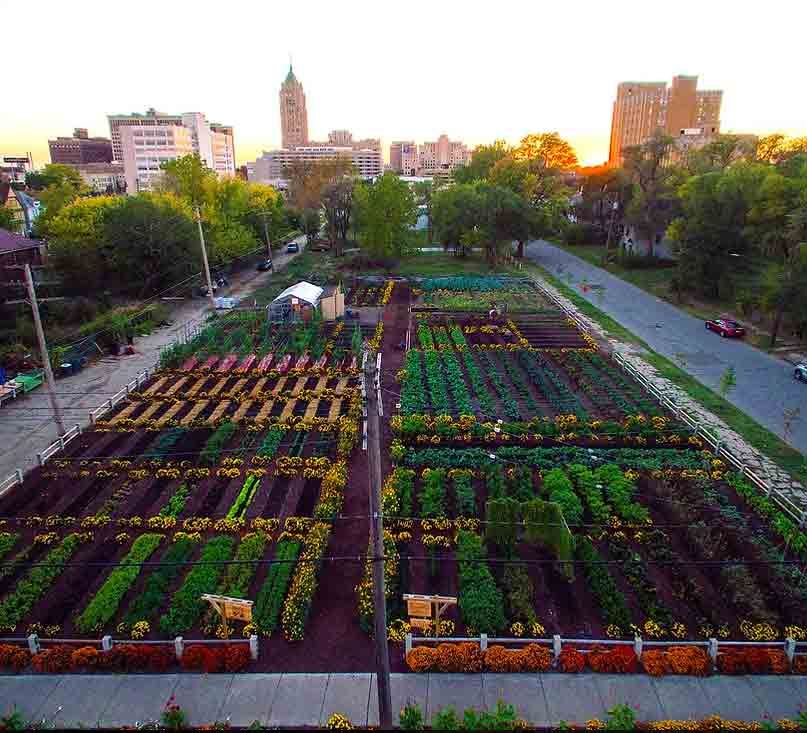 3 Acre Urban Farm in Detroit Feeds 2000 Families!