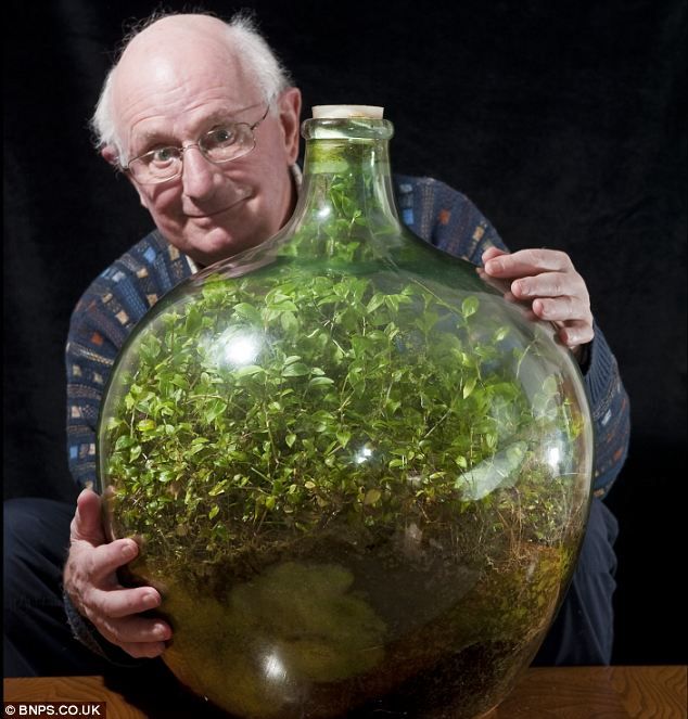 Man Creates Amazing Sealed Bottle Garden That Lasts 53 Years And Counting!