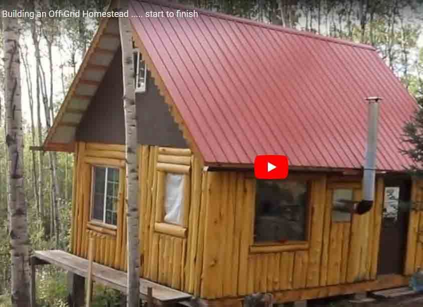 Couple Builds AWESOME "Stockade Style" Vertical Log Off Grid Cabin in Alaskan Wilderness