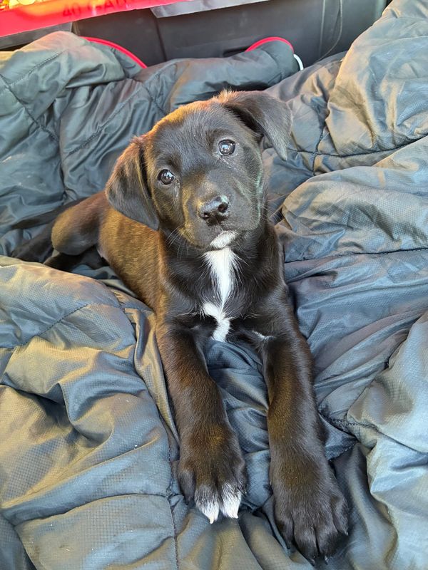 I’m Building a Rugged Off-Road Off-Grid Camper from SCRATCH, IN THE DESERT!