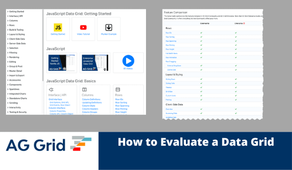 How to evaluate a Javascript Data Grid