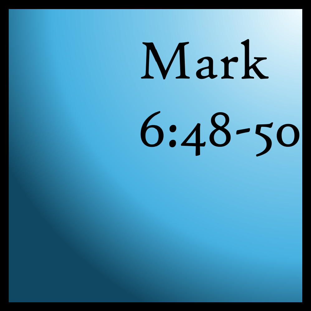 The Struggle In Learning: Mark 6:48-50