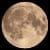 ON THE MOON: a creative newsletter by Nat!