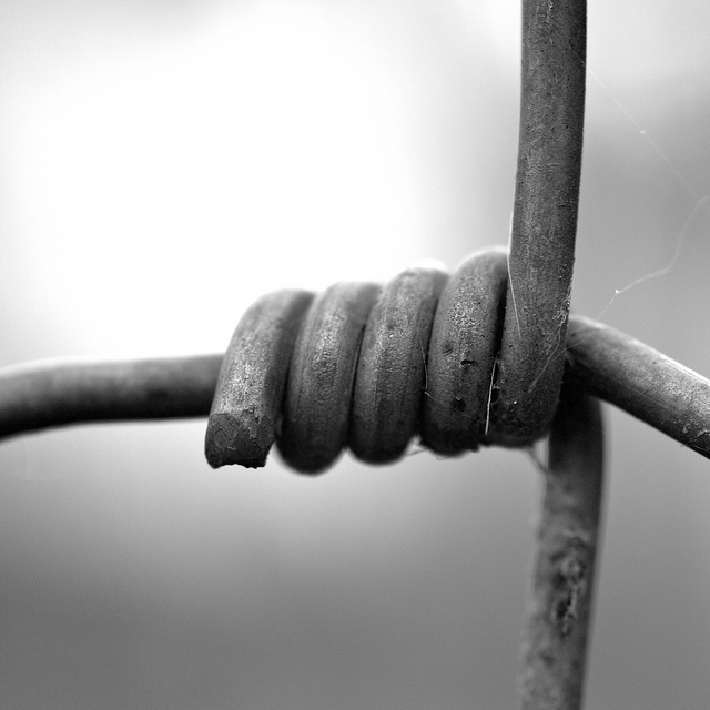 via Flickr.com by Thomas