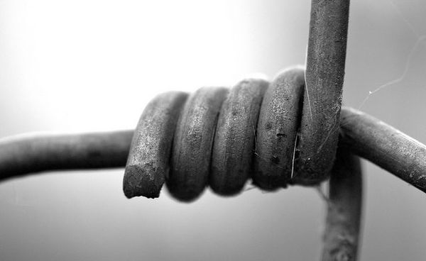 The knot, il nodo, чвор: blog post 0