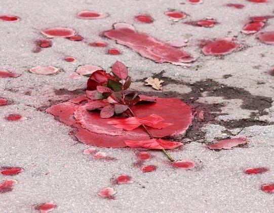 Contesti: Donne famose di Bosnia