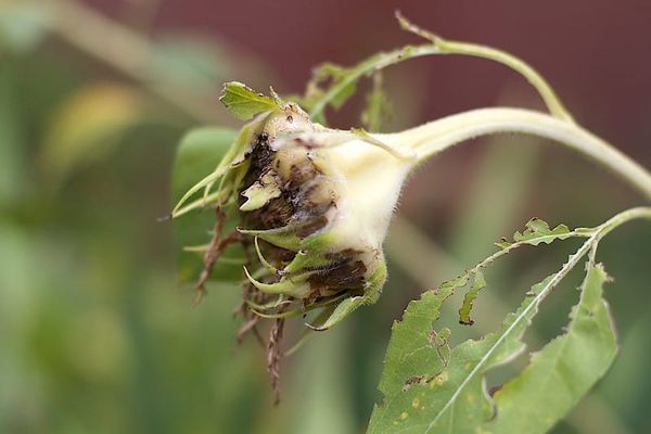 Contesti: Fa’ coi muscoli ogni cosa