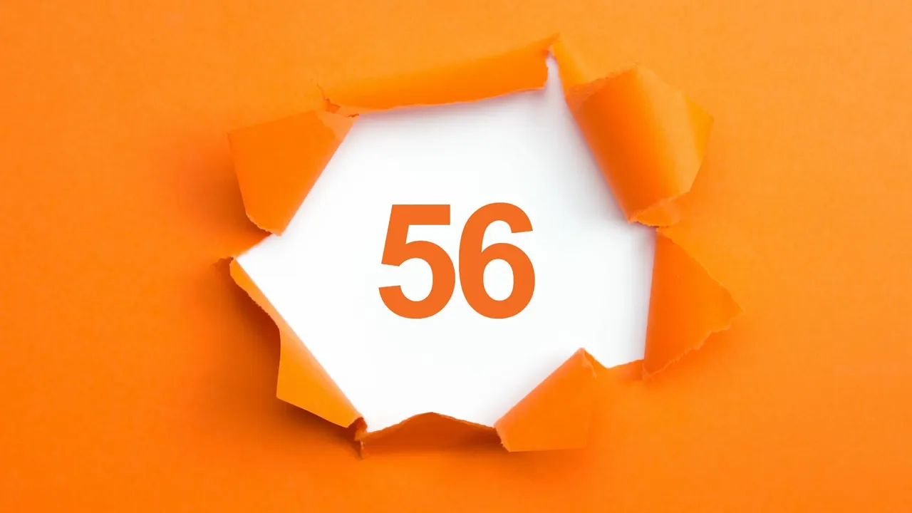 Y van 56