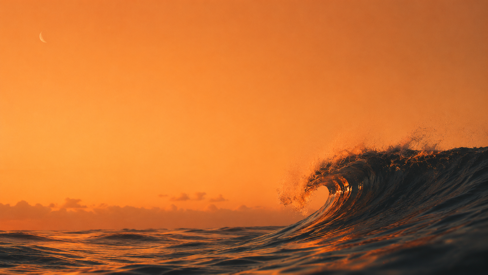The Philosurfer