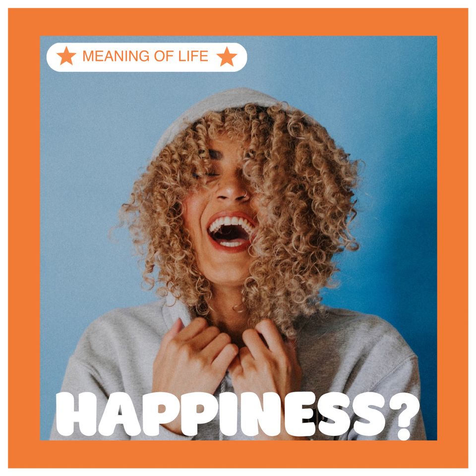 Meaning and Happiness