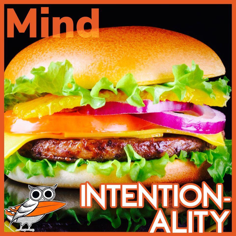 The Intentionality Argument