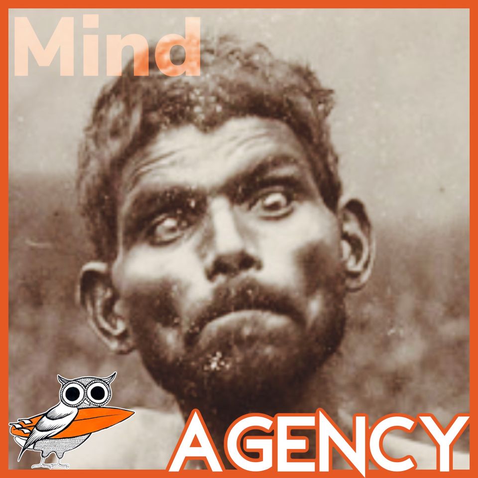 Agency Arguments: Do reasoning and moral choice prove you have a nonphysical mind?