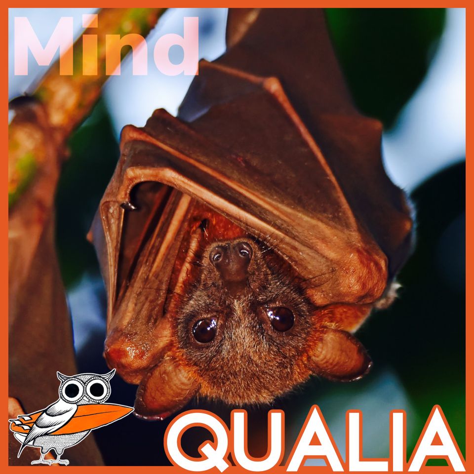Qualia Arguments